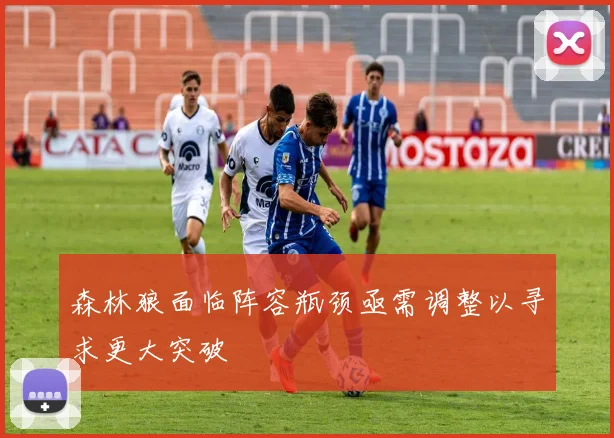 森林狼面临阵容瓶颈亟需调整以寻求更大突破